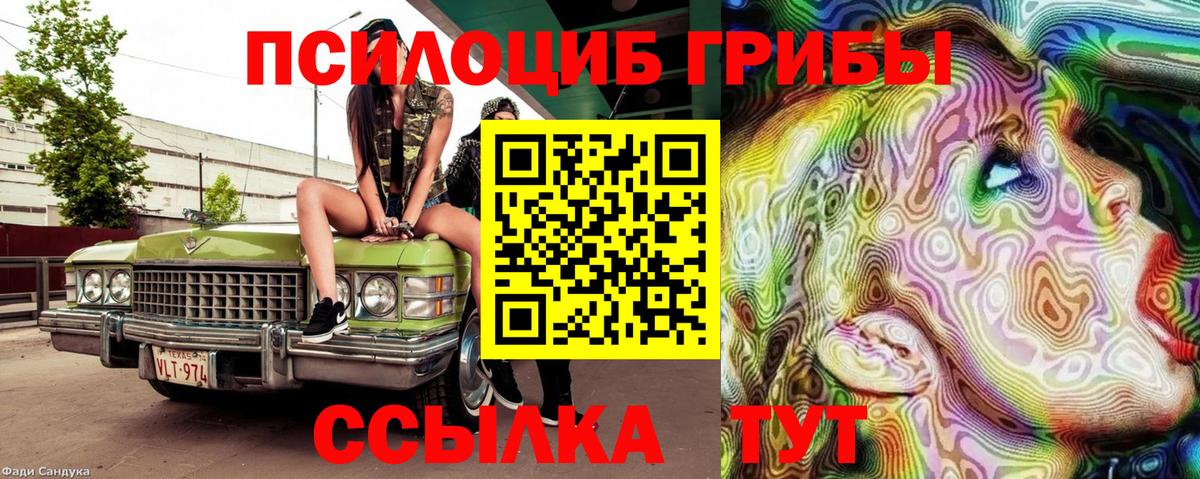 Галлюциногенные грибы Psilocybe  наркошоп  Вход с VPN  Зима  Псилоцибиновые грибы GOLDEN TEACHER 