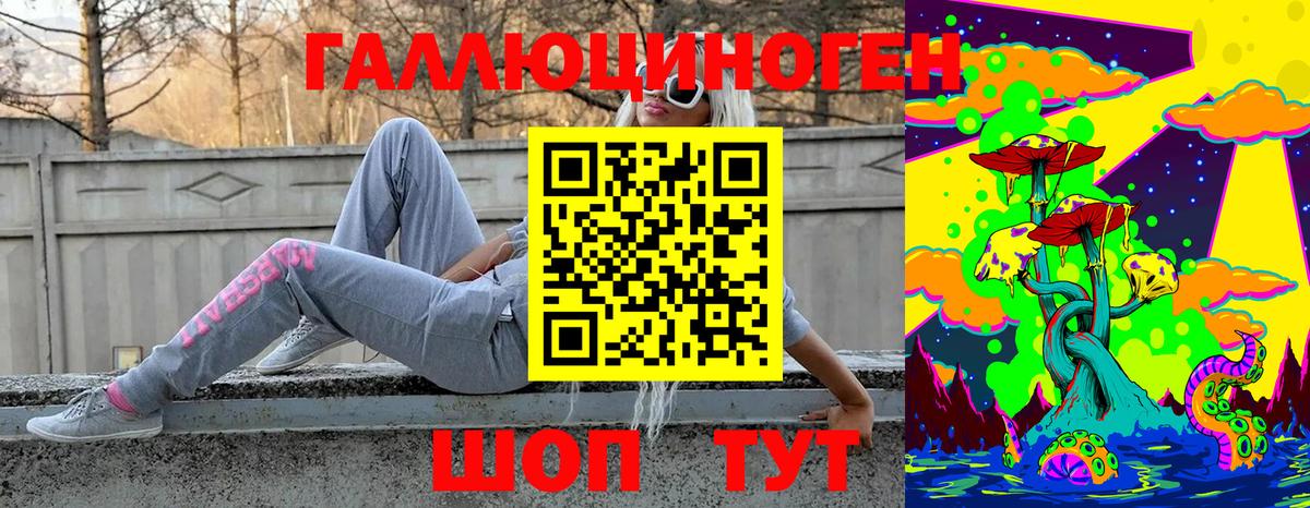 Псилоцибиновые грибы ЛСД Зима